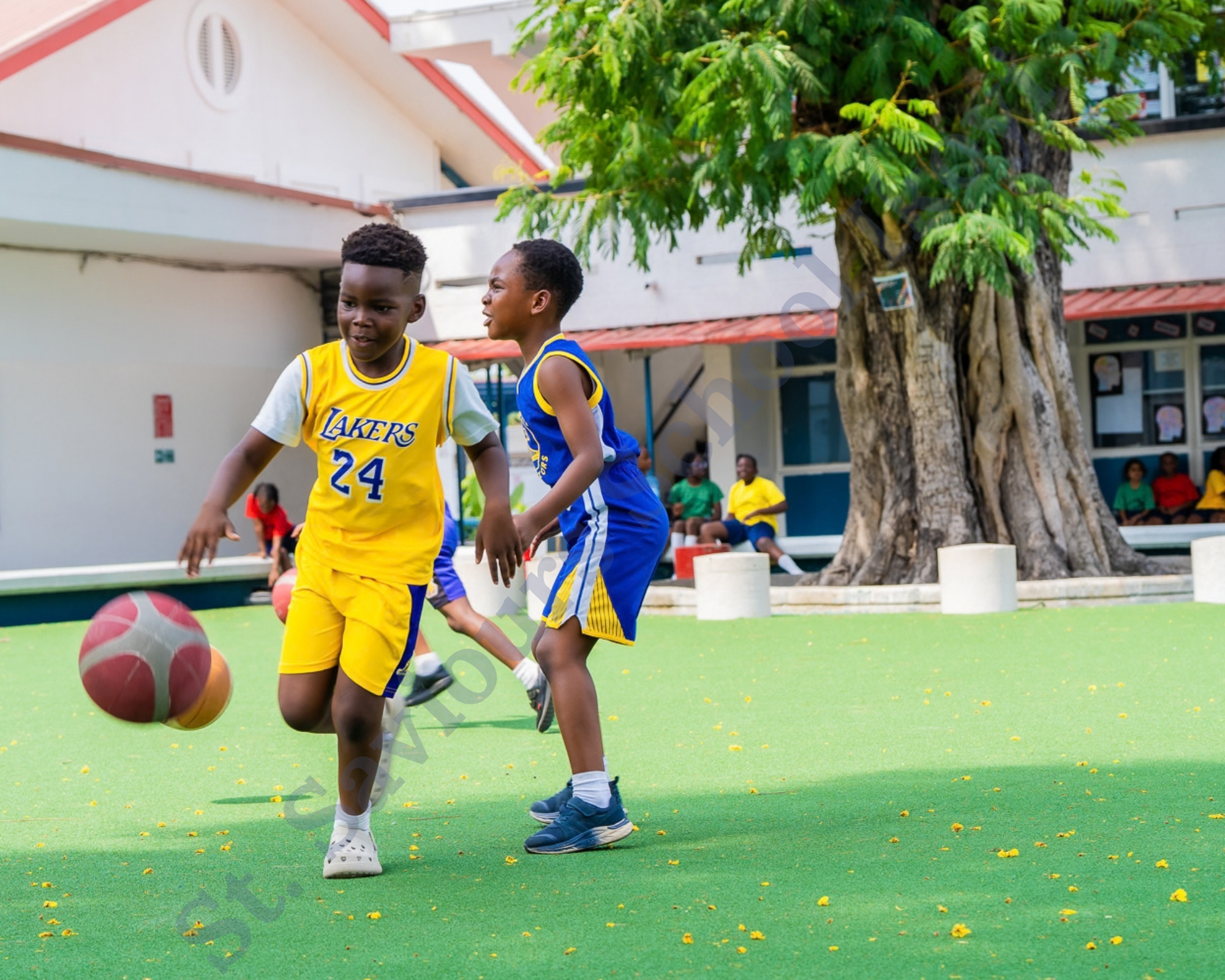 Sports Curriculum